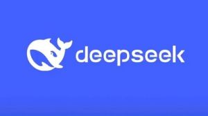 Deepseek如何评价DM接头